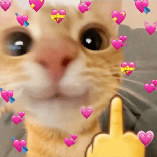 Gatos Amor💖💙💛 preview