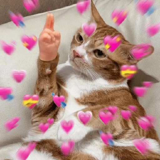 Gatos Amor💖💙💛 preview