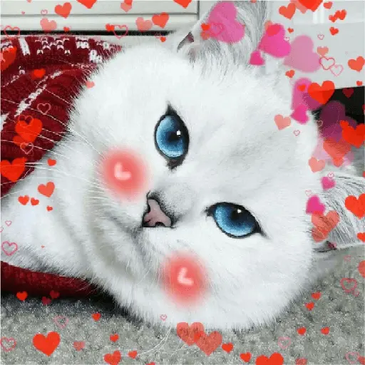Gatos Amor💖💙💛