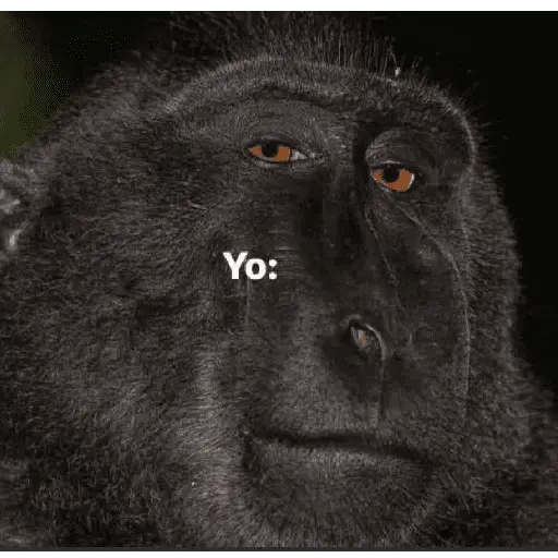 Animales locos