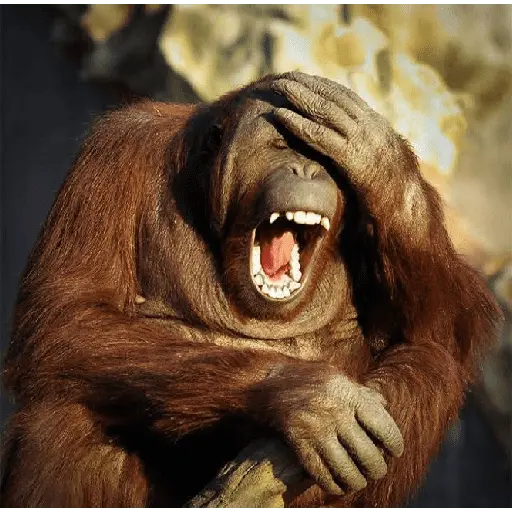Animales locos