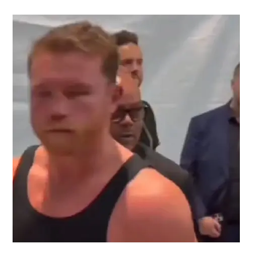 Canelo alvarez 🥊💯 preview