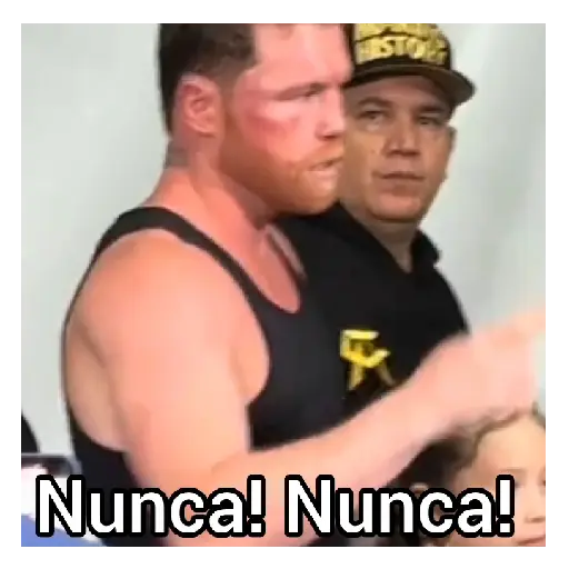 Canelo alvarez 🥊💯 preview