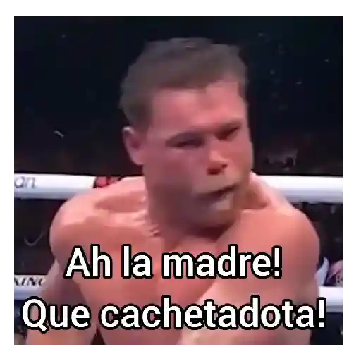 Canelo alvarez 🥊💯
