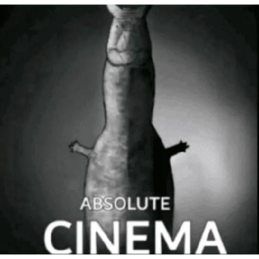 Momos de Tiktok 1°