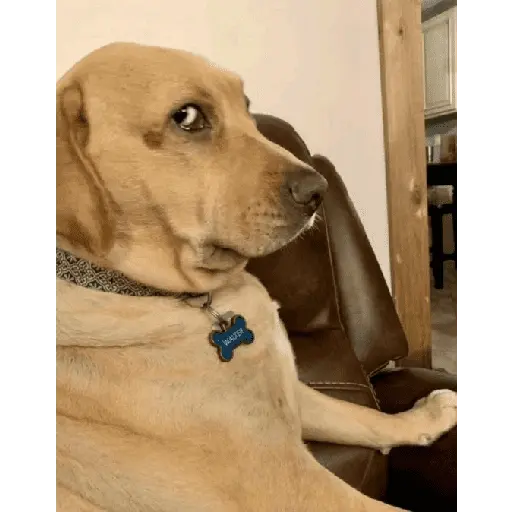 Momos de Tiktok 1°