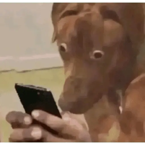 Momos de Tiktok 1°