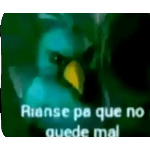 Momos de Tiktok 1°