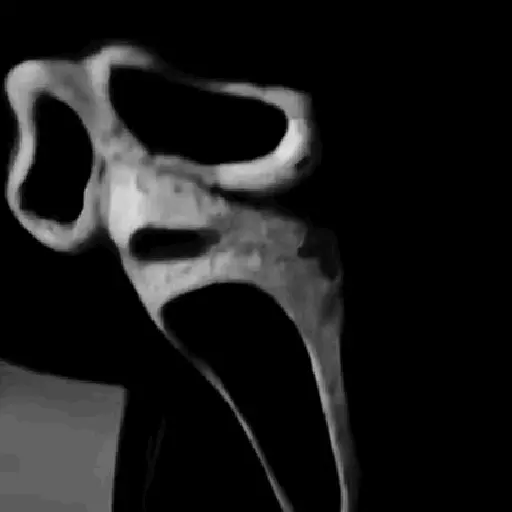 Halloween ghostface 🎃