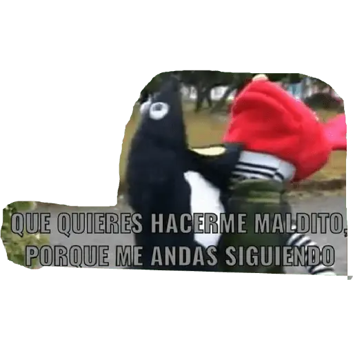 31 minutos