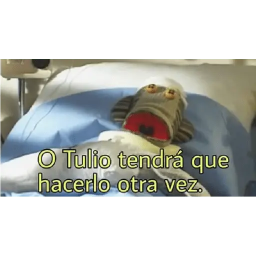 31 minutos