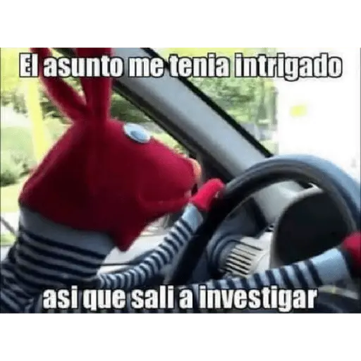 31 minutos