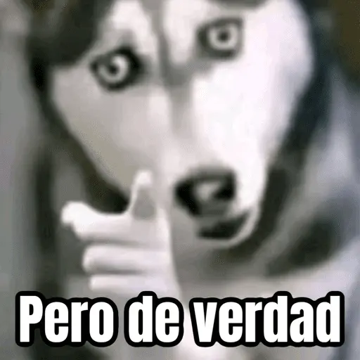 Memes chistosos 🤣