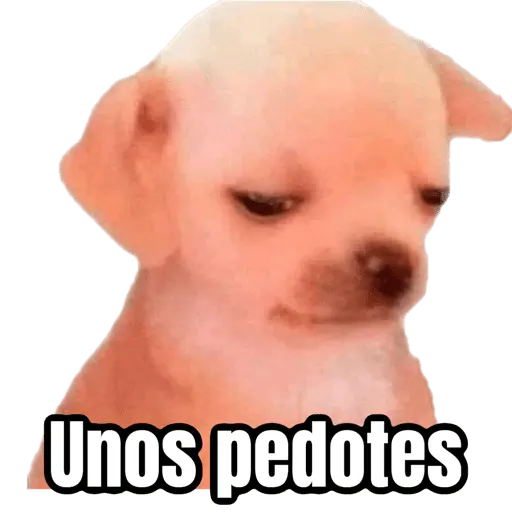 Memes chistosos 🤣