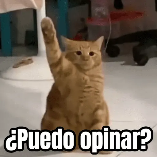 Memes chistosos 🤣