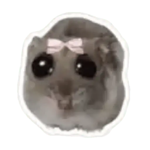 Hámster | Ratita triste 😢🐹