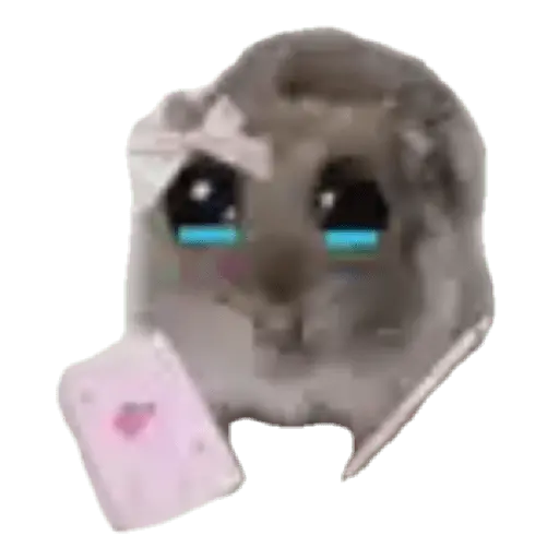 Hámster | Ratita triste 😢🐹