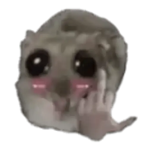 Hámster | Ratita triste 😢🐹