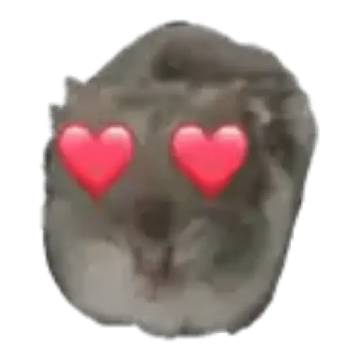 Hámster | Ratita triste 😢🐹