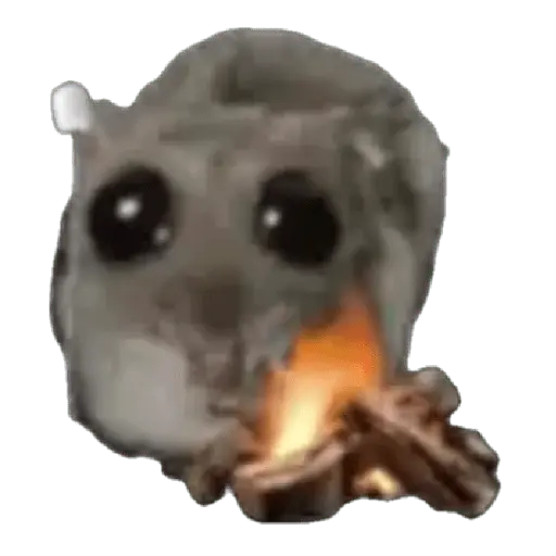 Hámster | Ratita triste 😢🐹