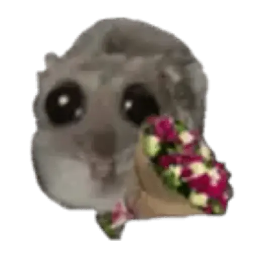 Hámster | Ratita triste 😢🐹
