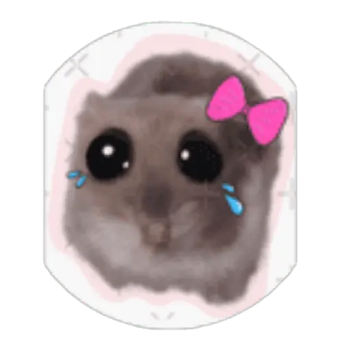Hámster | Ratita triste 😢🐹