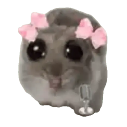 Hámster | Ratita triste 😢🐹
