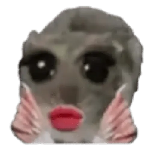 Hámster | Ratita triste 😢🐹