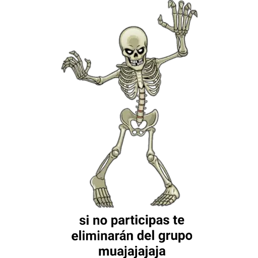 Esquelétos🤭💀 