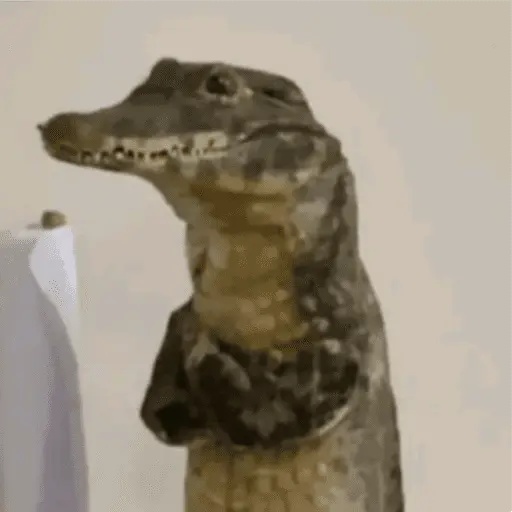 animales
