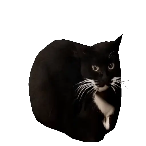 Meme Kucing Viral #2 🐱