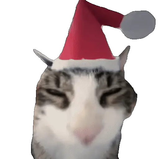 Meme Kucing Viral #2 🐱