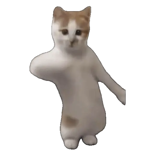 Meme Kucing Viral #2 🐱
