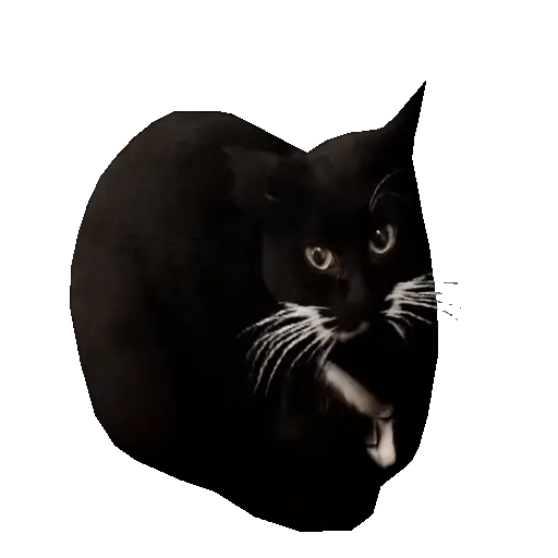 Meme Kucing Viral #2 🐱 preview