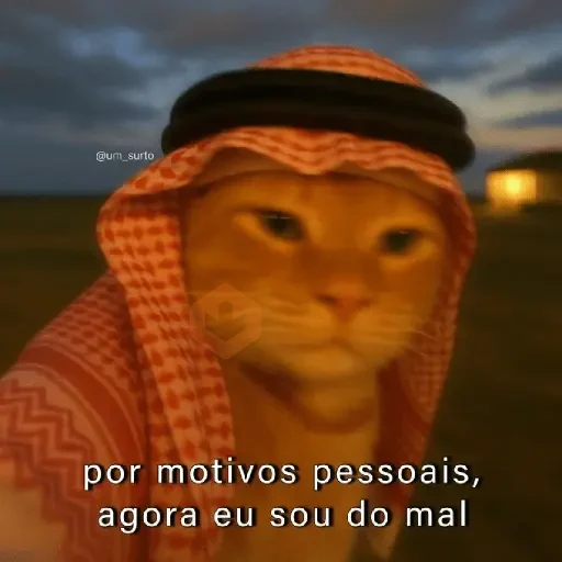 Memes aleatórios sticker 11