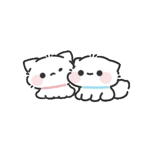 Gatitos de amor ❤️🫶🏻😻