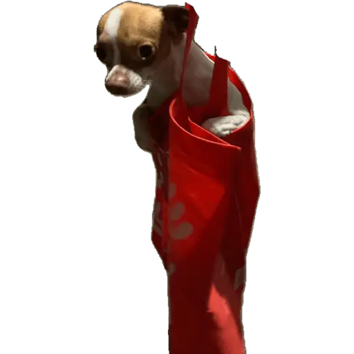 snoopy