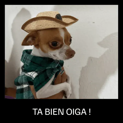 snoopy