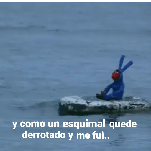 bodoque 2 🦔👍🏻