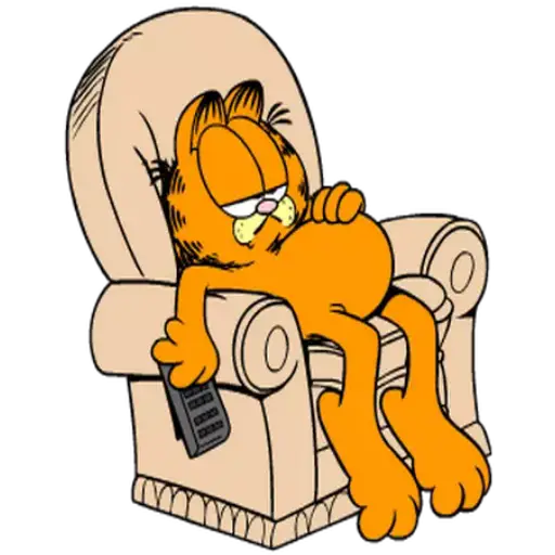 Garfield 2😽😼