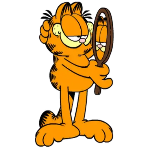 Garfield 2😽😼