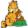 Garfield 2😽😼