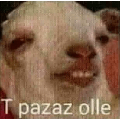31 minutos preview