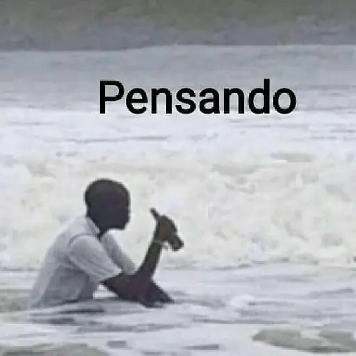 31 minutos