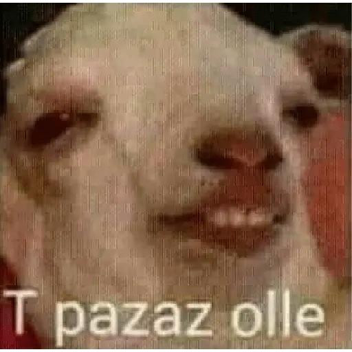 31 minutos