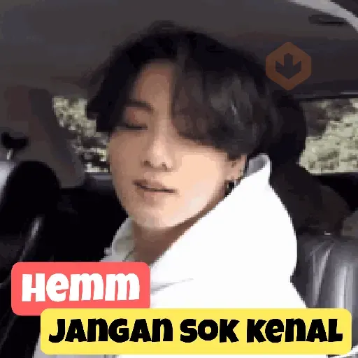K-POP sticker 14