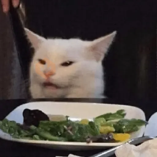 classic meme sticker 18