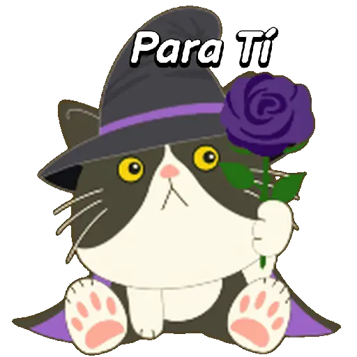 Halloween Cute Black Cat🐈‍⬛✨