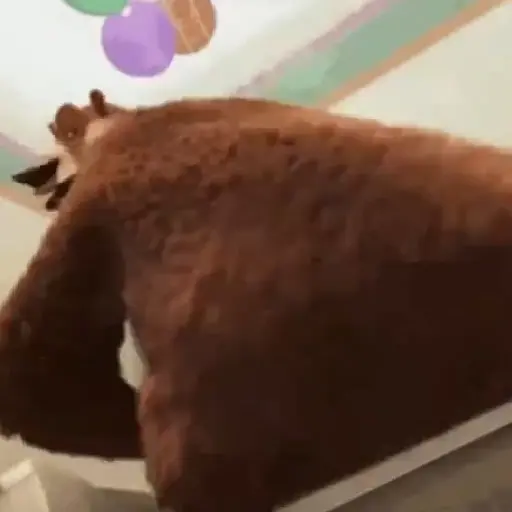 🎵 TIKTOKeando 39🎵