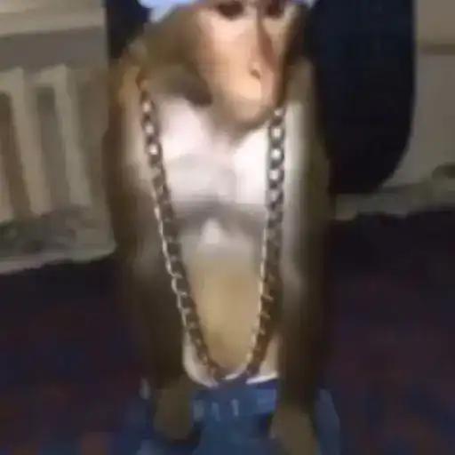 🎵 TIKTOKeando 39🎵
